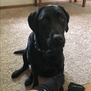 Meet your Posher, Hailey